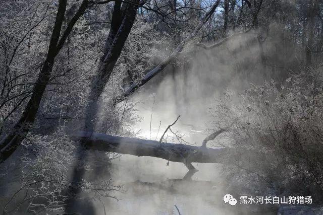 卖主,叛国,一个三姓家奴的占卜人生,从历史看人性